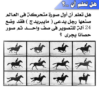 81.jpg